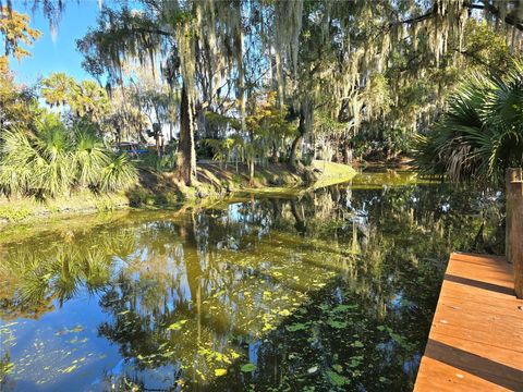 Tiny photo for 920 Cr 452a, Lake Panasoffkee, FL 33538 (MLS # OM715637)
