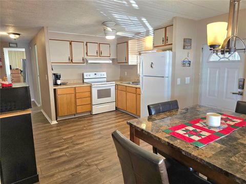 Tiny photo for 920 Cr 452a, Lake Panasoffkee, FL 33538 (MLS # OM715637)