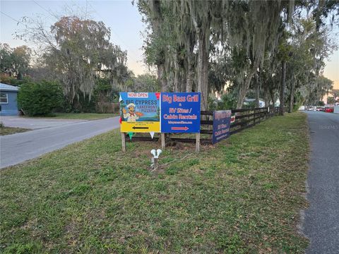 Tiny photo for 920 Cr 452a, Lake Panasoffkee, FL 33538 (MLS # OM715637)