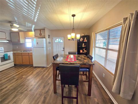 Tiny photo for 920 Cr 452a, Lake Panasoffkee, FL 33538 (MLS # OM715637)