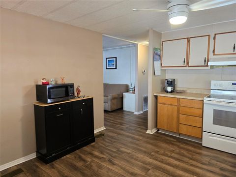 Tiny photo for 920 Cr 452a, Lake Panasoffkee, FL 33538 (MLS # OM715637)