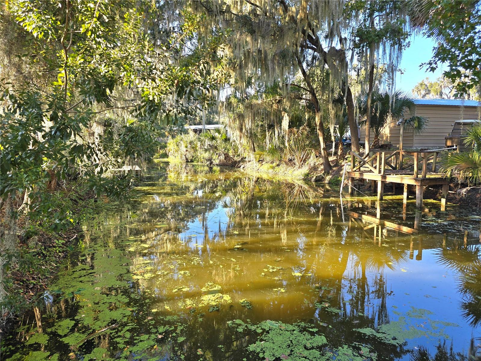 PANASOFFKEE ESTATES - Residential