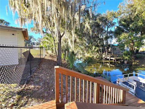 Tiny photo for 920 Cr 452a, Lake Panasoffkee, FL 33538 (MLS # OM715637)