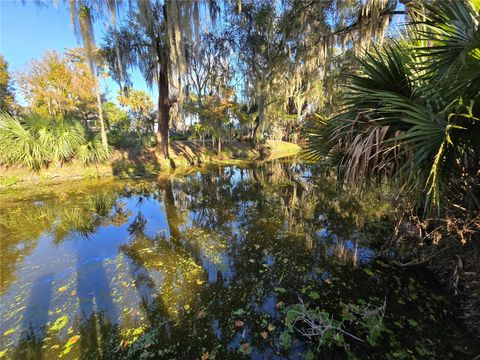 Tiny photo for 920 Cr 452a, Lake Panasoffkee, FL 33538 (MLS # OM715637)