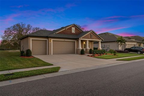 A home in SUN CITY CENTER