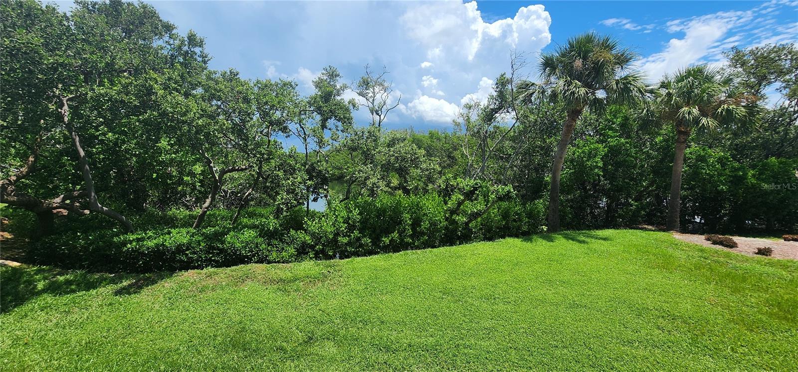 WANDER RESIDENCES OF TIERRA VERDE - Residential Lease