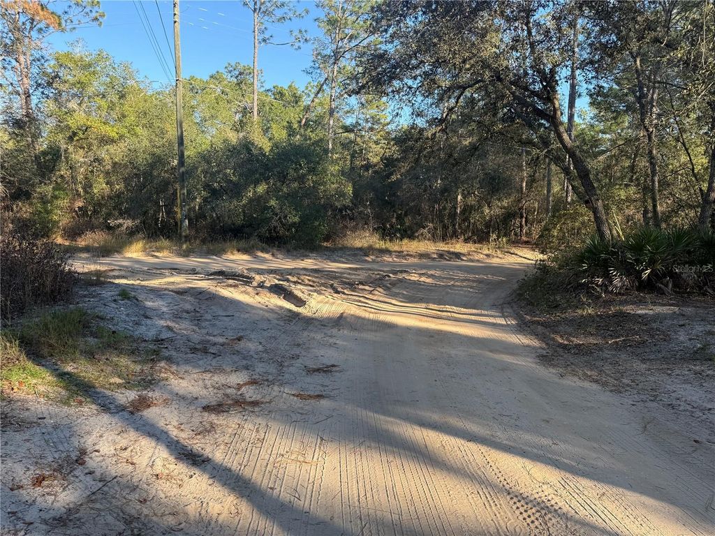 Photo of 92nd Street, Ocklawaha, FL 32179 (MLS # OM713763)