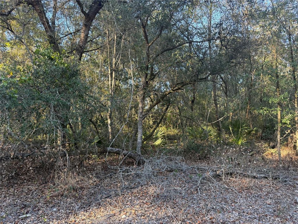 Photo of 92nd Street, Ocklawaha, FL 32179 (MLS # OM713763)