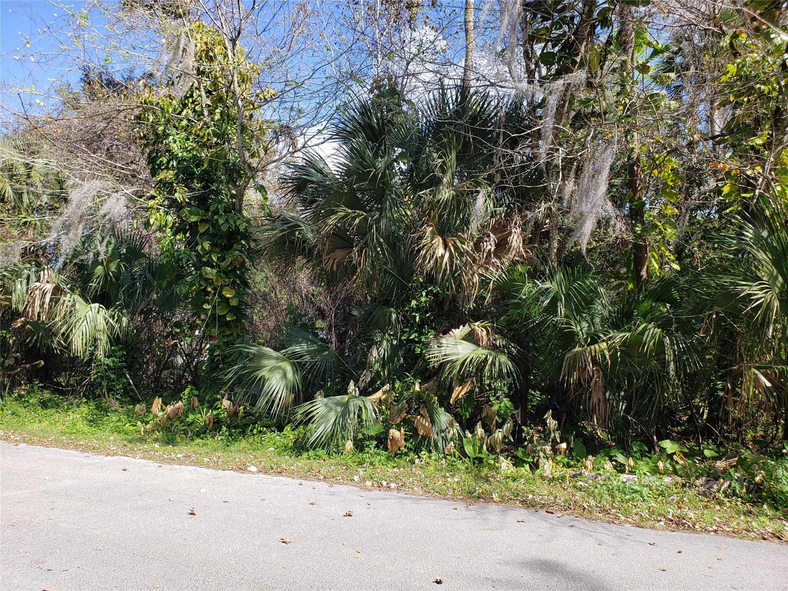 OLIVER ESTATES is an established neighborhood with no HOAs & few buildable lots left. Bring your dream home ideas & choice builder to this popular neighborhood, where this rare prime lot awaits you on the established street of PALM! Feel comfortable to store your boat or other toys behind your fenced yard. Conveniently located in the beautiful town of New Smyrna Beach. Easy access to dining, shopping, the interstate and just minutes from the beach. Boundary Survey & Oliver Estates Subdivision included in documents. UTILITY INFO: City water with easy 2'' water main tap connection; no city sewer (will need new septic); Electric power feed will need a new pole set from south side near 543 palm drive.; Cleared: No