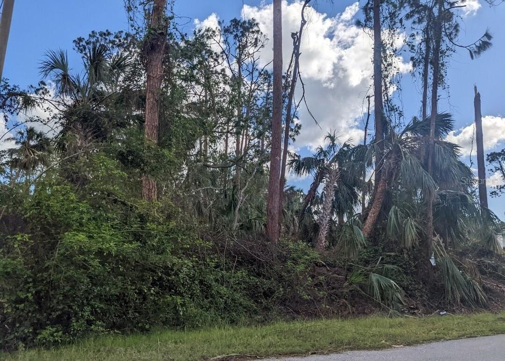 Photo of Talisman Terrace, North Port, FL 34286 (MLS # O6323530)