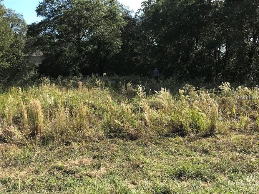 .24-acre vacant lot in the Rainbow Park subdivision of Ocala with convenient access to Hwy 40. Approximately 20–25 miles (30–40 minutes) to Rainbow Springs State Park, 15–20 miles (25–35 minutes) to the World Equestrian Center, 30–40 miles to Silver Springs State Park, and 30–45 miles to Ocala National Forest. No mobile homes per county. Property will require well and septic. Buyer responsible for verifying utility access, building requirements, and land use with Marion County.