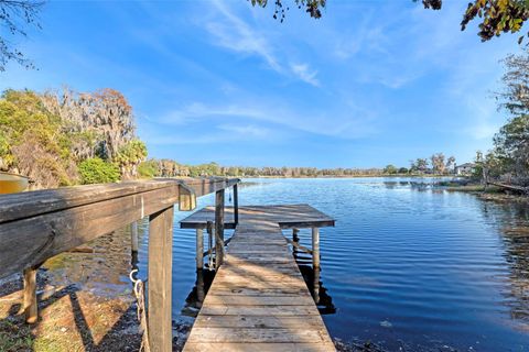Photo of 9825 Lake Georgia Drive, Orlando, FL 32817 (MLS # O6372598)