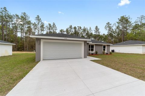 4386 SW 158 COURT OCALA FL 34481
