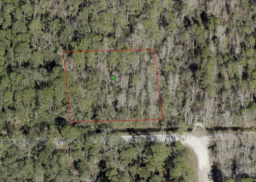 DELAND: DAYTONA PARK ESTATES-Don't miss out on this .52 acre lot on a dead end street. Lots of trees and nature surround this location. This location is close to shopping and Award winning downtown and an easy ride to the beaches-just hop on 92! **MLS Info is intended to be correct but is not guaranteed and all information must be verified by buyers.**