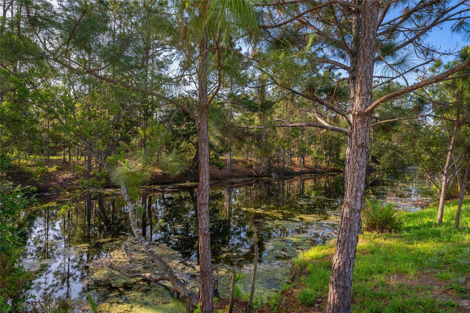 VILLAGES AT HARMONY PH 1B - Residential