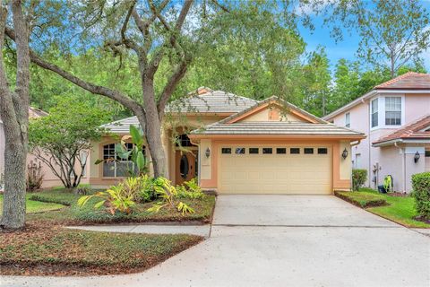 Photo of 17738 Nathans Drive, Tampa, FL 33647 (MLS # TB8512224)