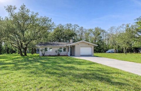 Photo of 10821 Candy Lane, New Port Richey, FL 34654 (MLS # TB8483371)