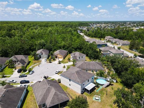 A home in KISSIMMEE