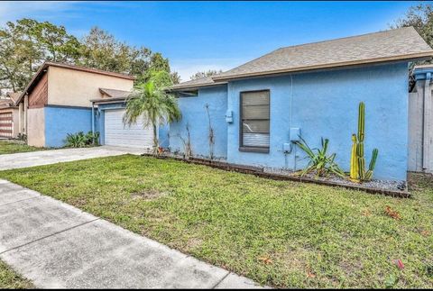 A home in TAMPA