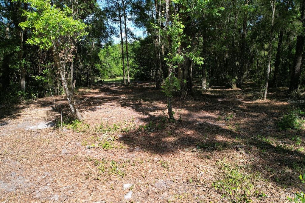 Photo of SE 164th Terrace, Williston, FL 32696 (MLS # O6408003)