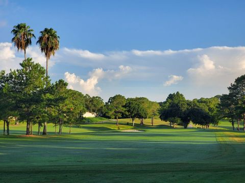 A home in PALM HARBOR