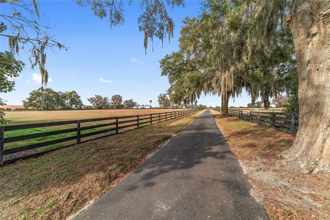 Tiny photo for 5575 NW 100th Street, Ocala, FL 34482 (MLS # OM716397)
