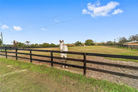 Tiny photo for 5575 NW 100th Street, Ocala, FL 34482 (MLS # OM716397)