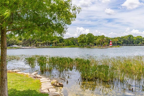 Tiny photo for 367 August Fern Loop, Mount Dora, FL 32757 (MLS # O6419807)