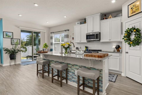 Tiny photo for 367 August Fern Loop, Mount Dora, FL 32757 (MLS # O6419807)