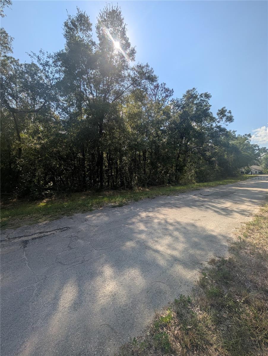 CITRUS SPGS UNIT 03 - Land