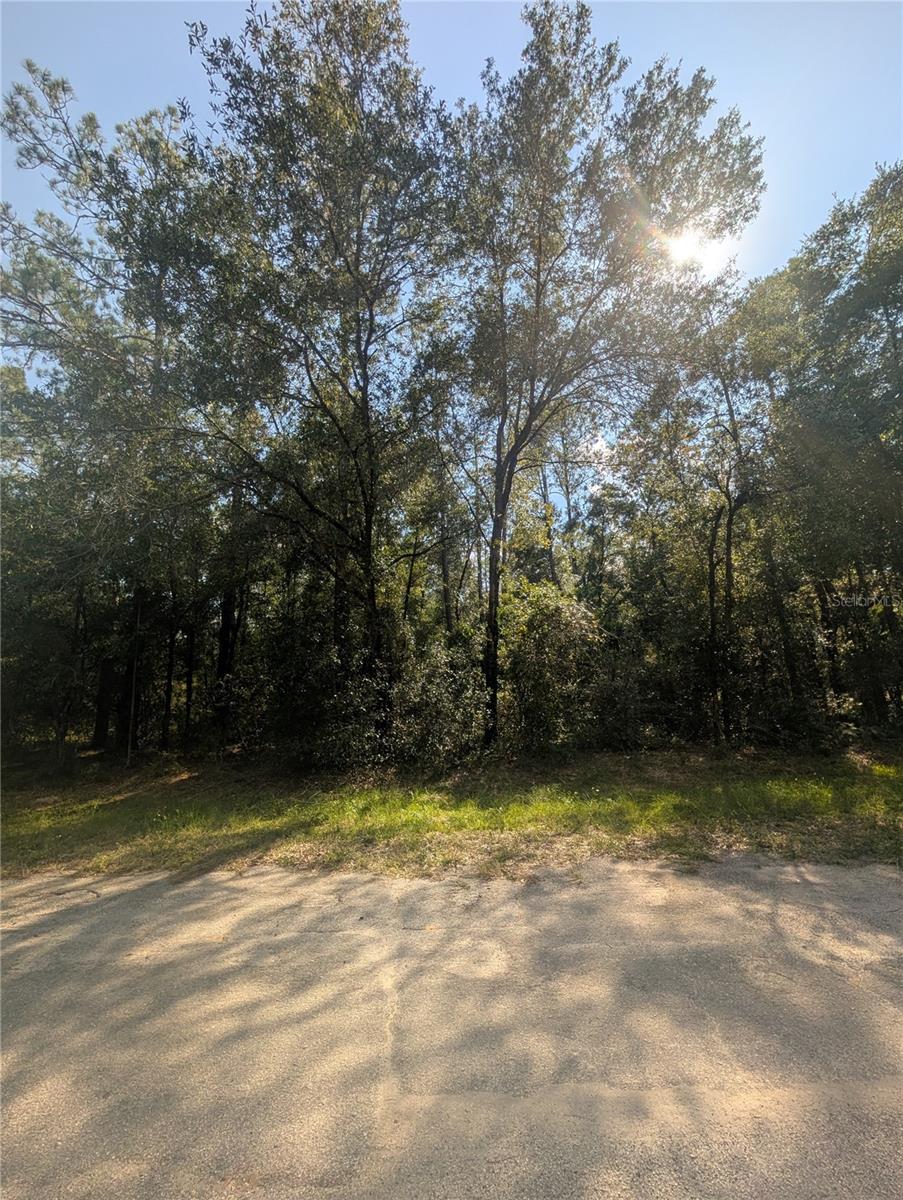 10484 N HOLCOMB DRIVE