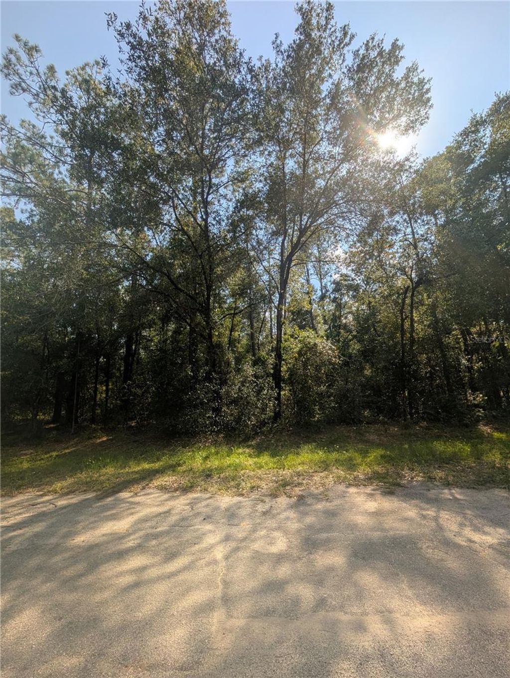 Photo of 10484 N Holcomb Drive, Citrus Springs, FL 34434 (MLS # OM712128)