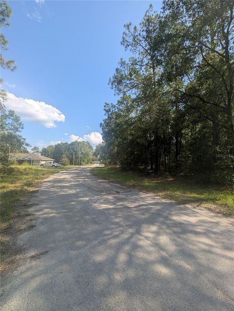 10484 N HOLCOMB DRIVE CITRUS SPRINGS FL 34434