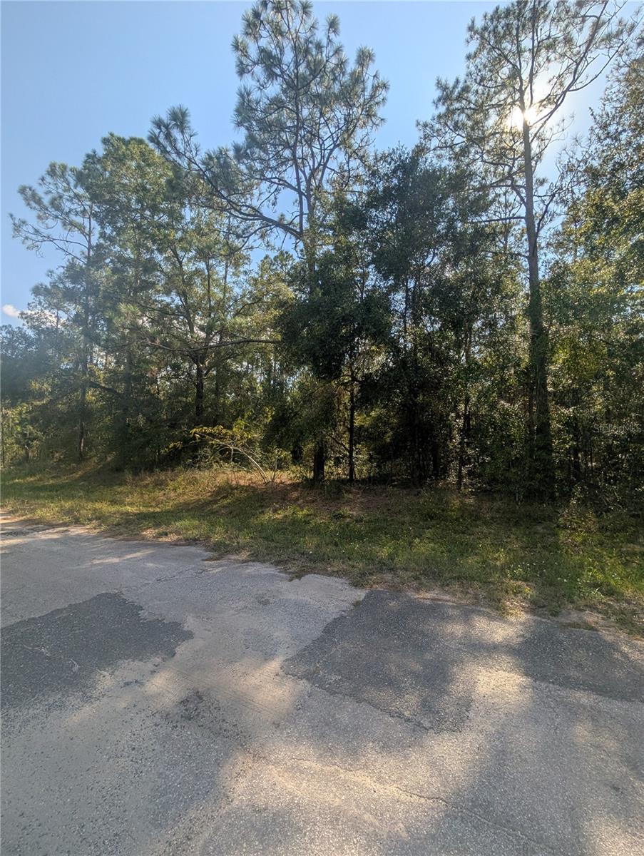 10484 N HOLCOMB DRIVE