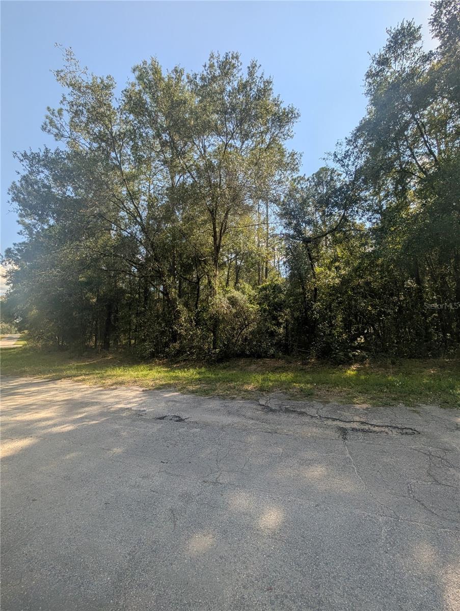 CITRUS SPGS UNIT 03 - Land