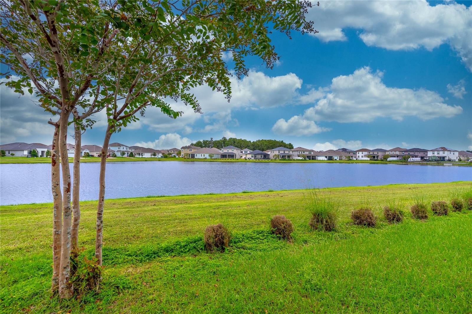 TAPESTRY PH 5 - Residential Lease