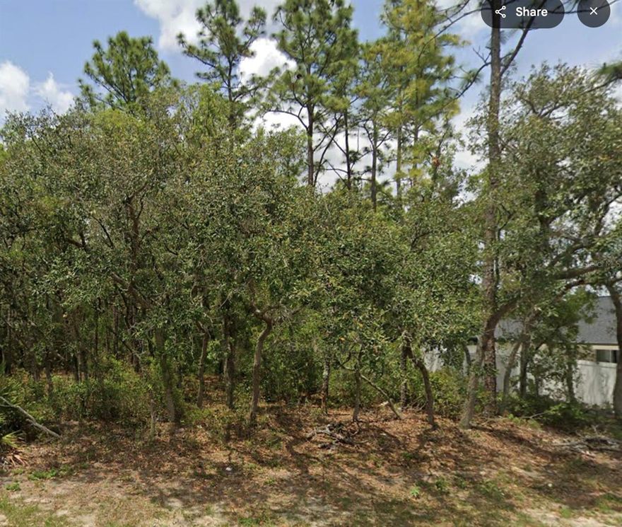 Discover the perfect opportunity to build your dream home or invest in the rapidly growing Marion Oaks community! This spacious 0.23-acre lot is high and dry, located in a NO flood zone, offering peace of mind and security for future development. The property provides easy access to shopping, dining, schools, and major highways, including I-75.   Whether you're planning your forever home or seeking a smart investment, this lot offers the flexibility you need, with no HOA.
Ocala is renowned for its natural beauty, vibrant equestrian culture, and growing economy, this lot presents exceptional potential for both homeowners and investors alike.