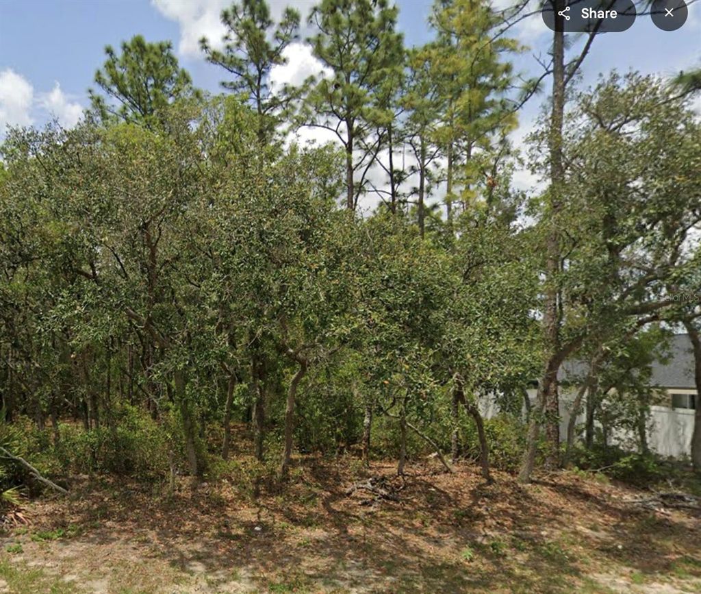Photo of 2 SW 144th Lane, Ocala, FL 34473 (MLS # OM711734)