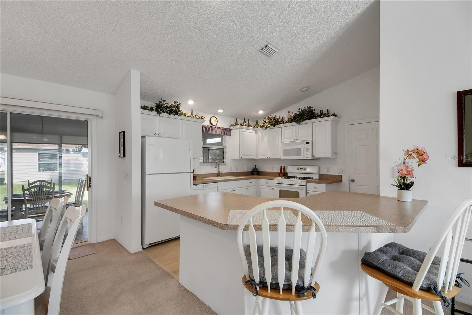 VILLAGES/SUMTER - Residential