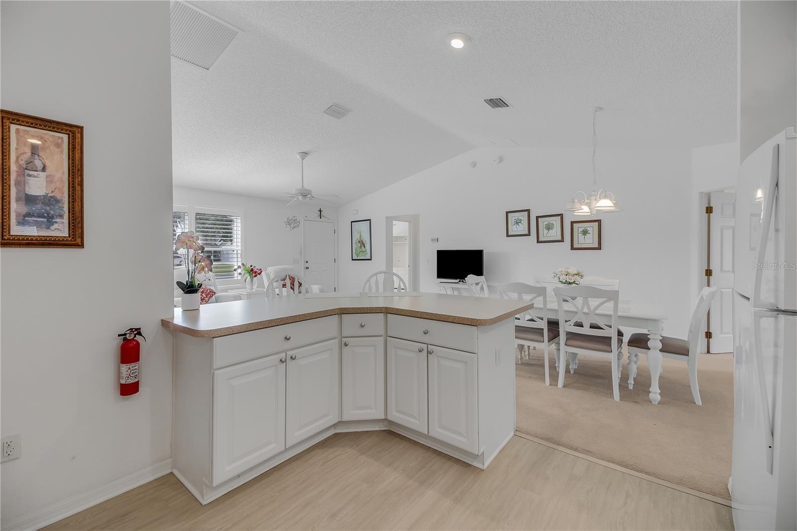 VILLAGES/SUMTER - Residential