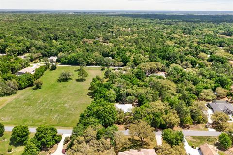 Tiny photo for 4043 N Monadnock Road, Hernando, FL 34442 (MLS # OM722803)