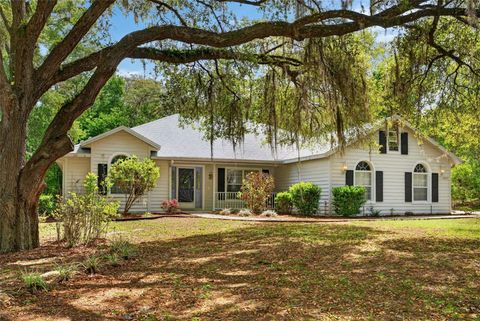 Photo of 4043 N Monadnock Road, Hernando, FL 34442 (MLS # OM722803)