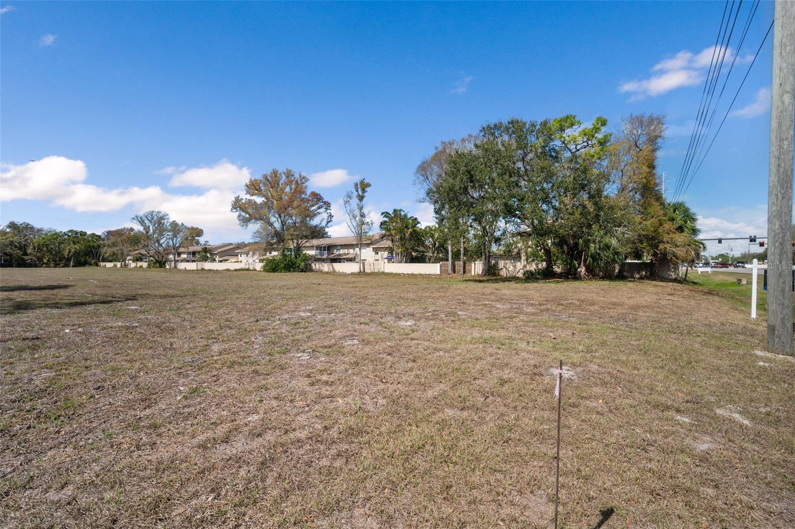 PINELLAS GROVES - Land