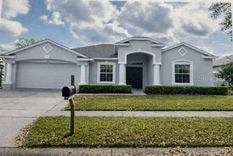 Photo of 319 Country Vineyard Drive, Valrico, FL 33594 (MLS # TB8458637)