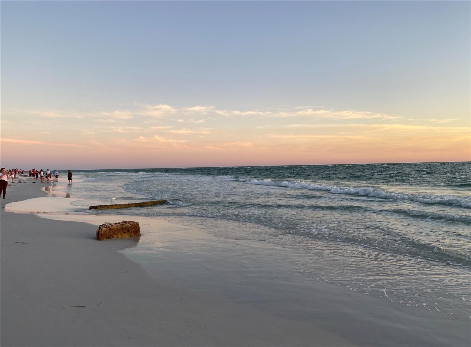 LAS PALMAS OF SARASOTA - Residential Lease