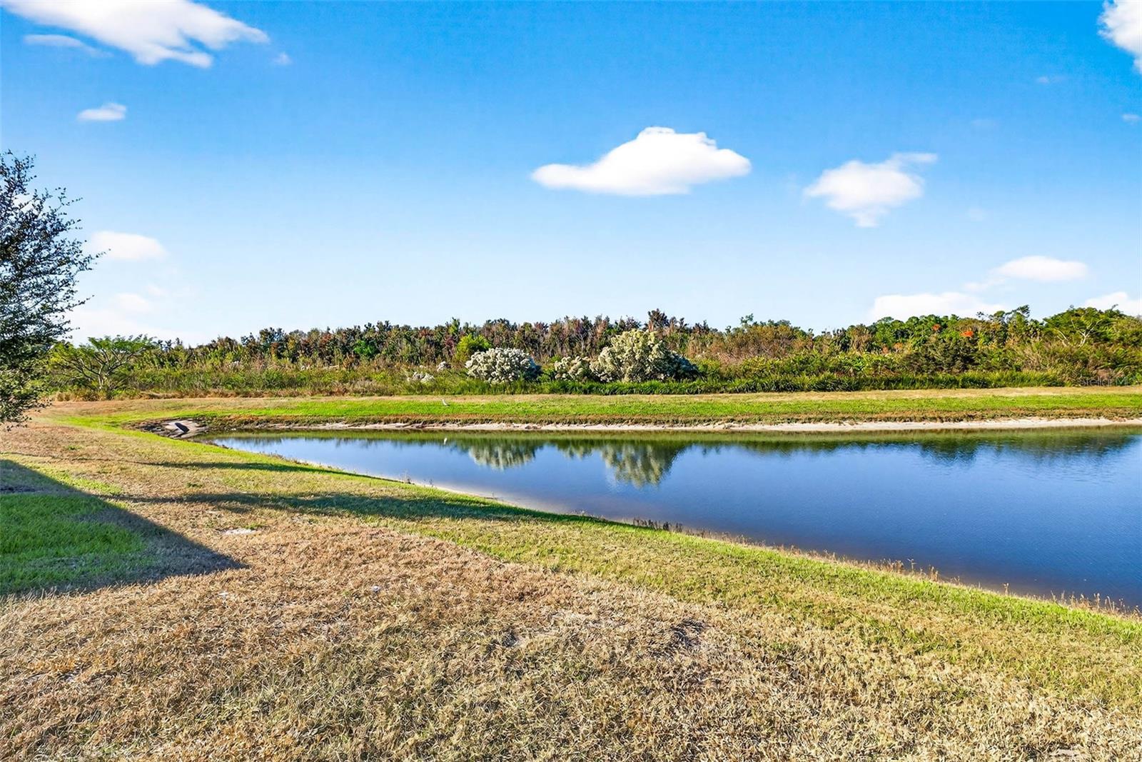EAGLE HAMMOCK - Residential