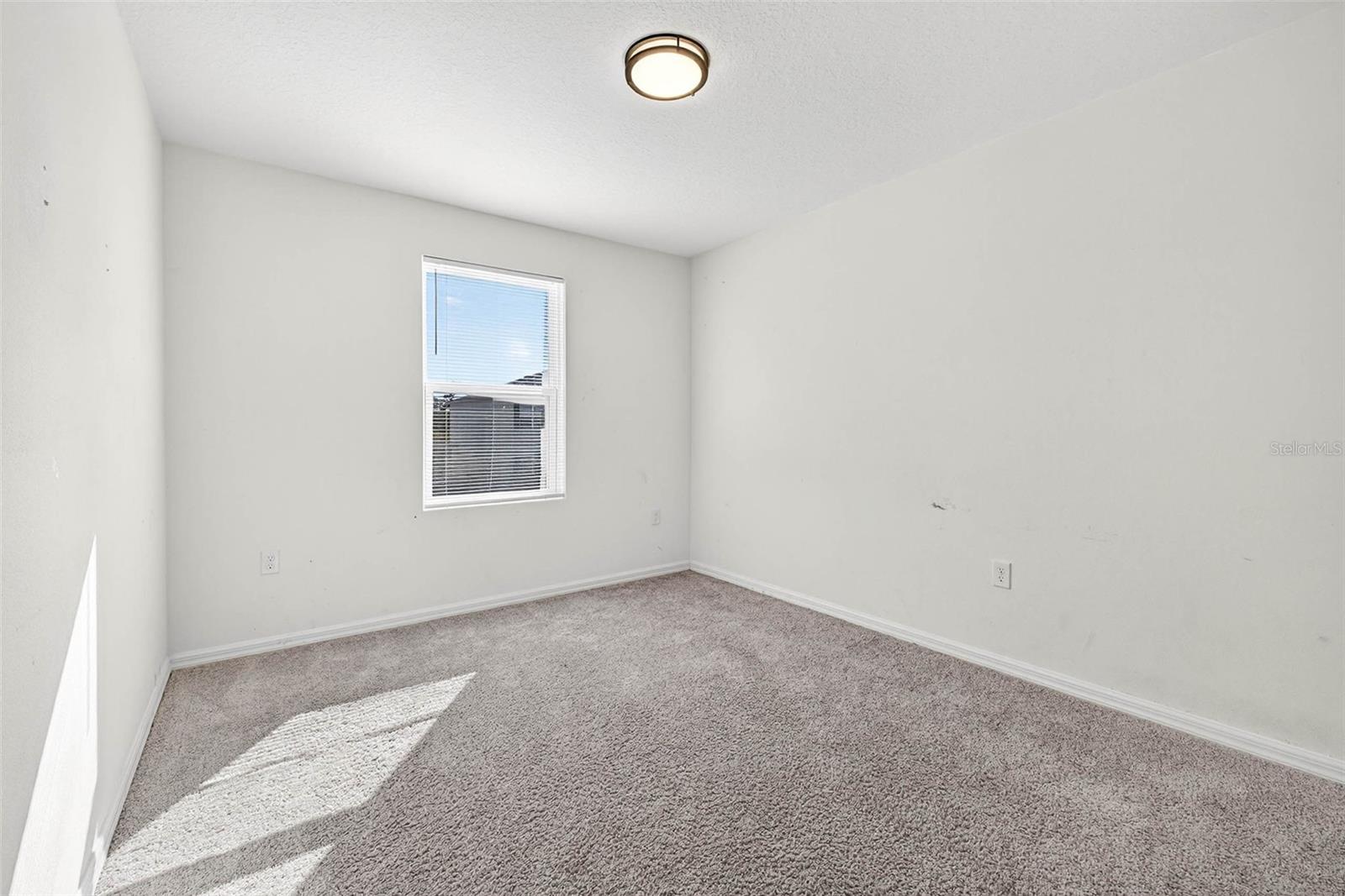 EAGLE HAMMOCK - Residential