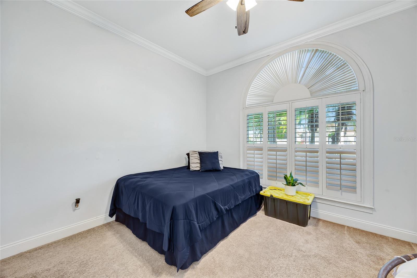 BROOKSTONE 43/47 - Residential