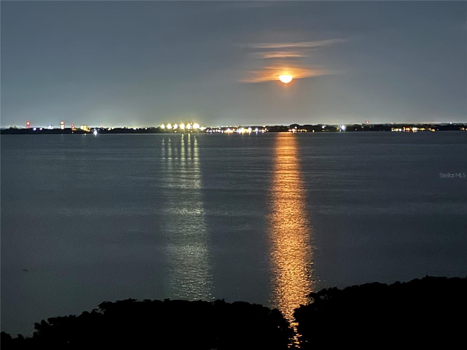 BEACH HARBOR CLUB - Residential