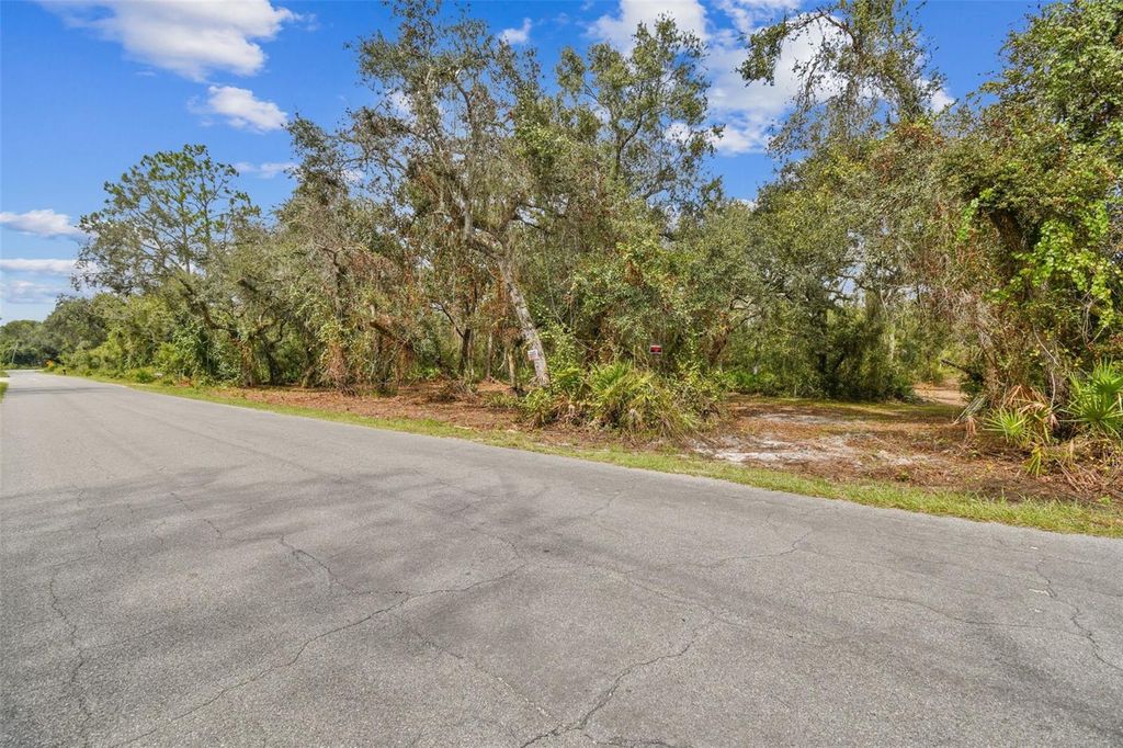 Photo of 5466 Cyril Drive, Dade City, FL 33523 (MLS # TB8435988)